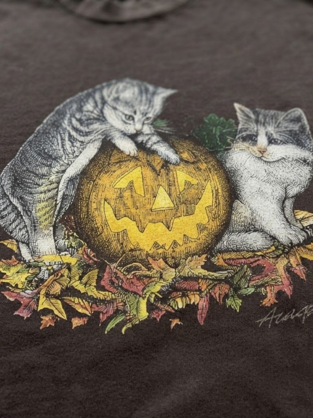 Halloween Cat Pumpkin Graphic Gildan T-Shirt Brown - Picture 2 of 2